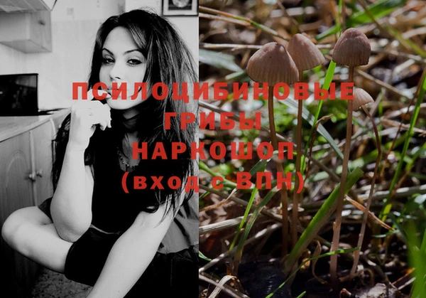соль ск Пролетарск